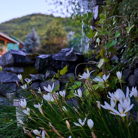 Pension Charisma Băile Herculane Esterno foto