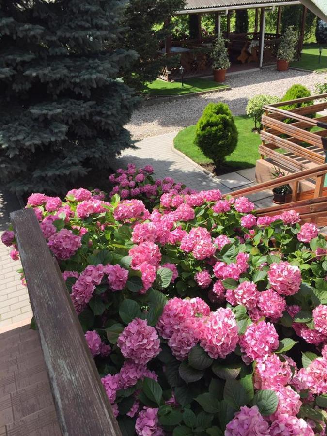 Pension Charisma Băile Herculane Esterno foto