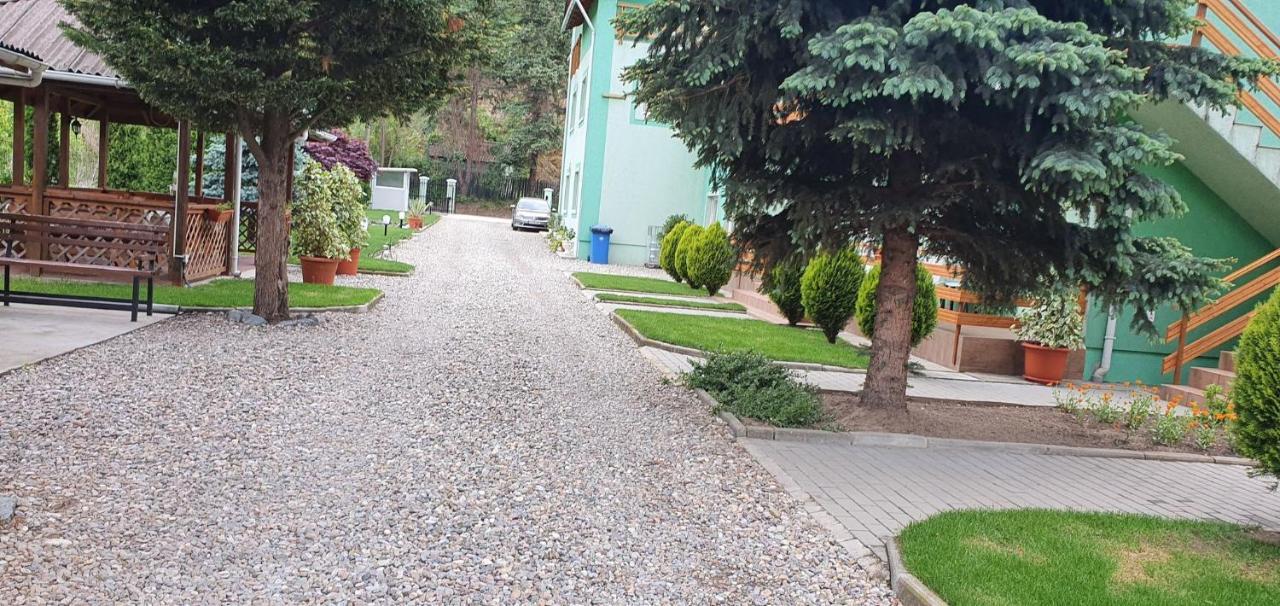 Pension Charisma Băile Herculane Esterno foto